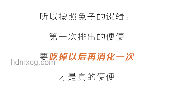 “不做爱不行吗？”：探索性关系的多样性与个人选择